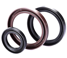 Oil Seal